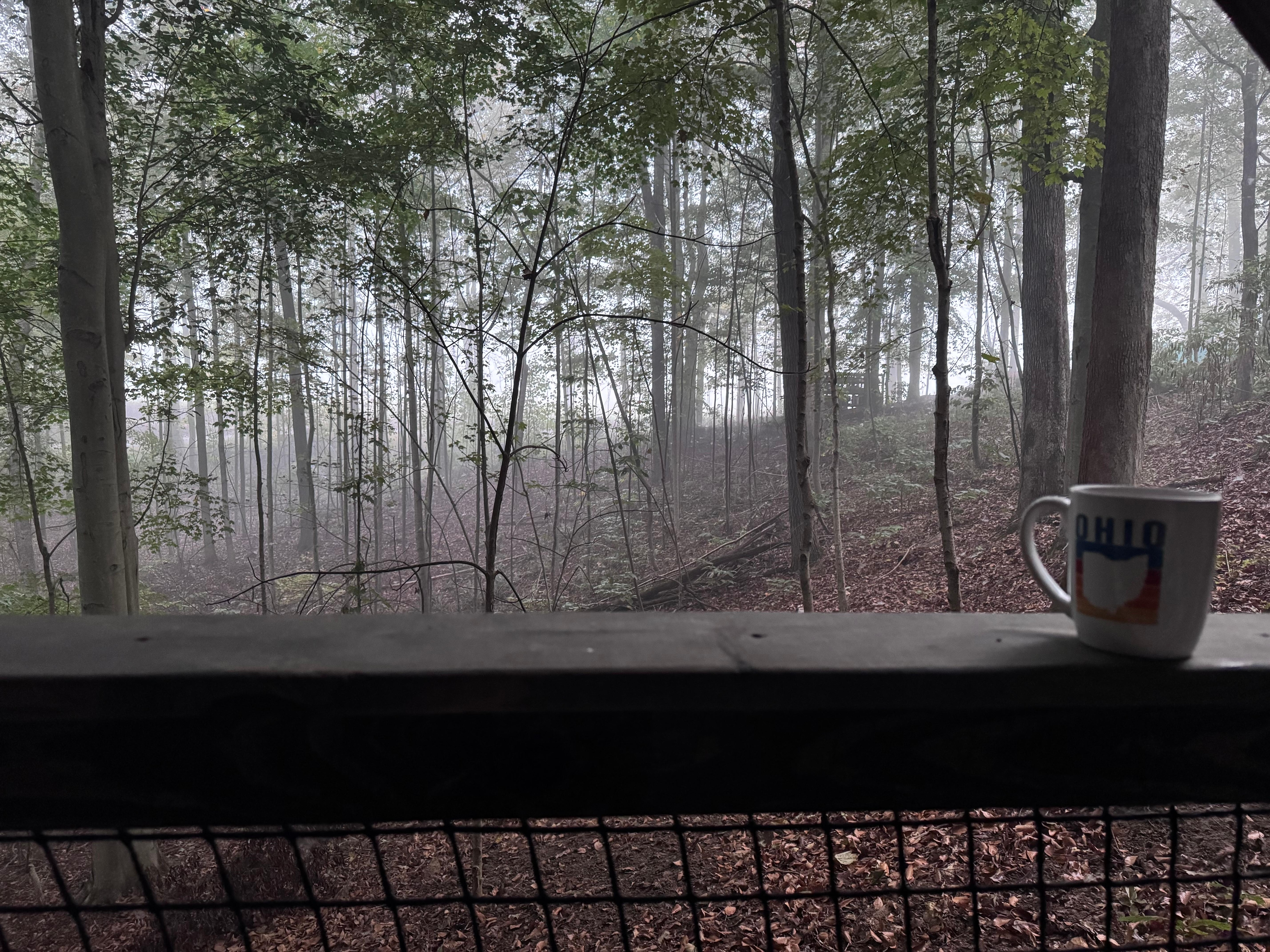 Misty morning view from the hot tub. 