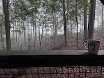 Misty morning view from the hot tub.