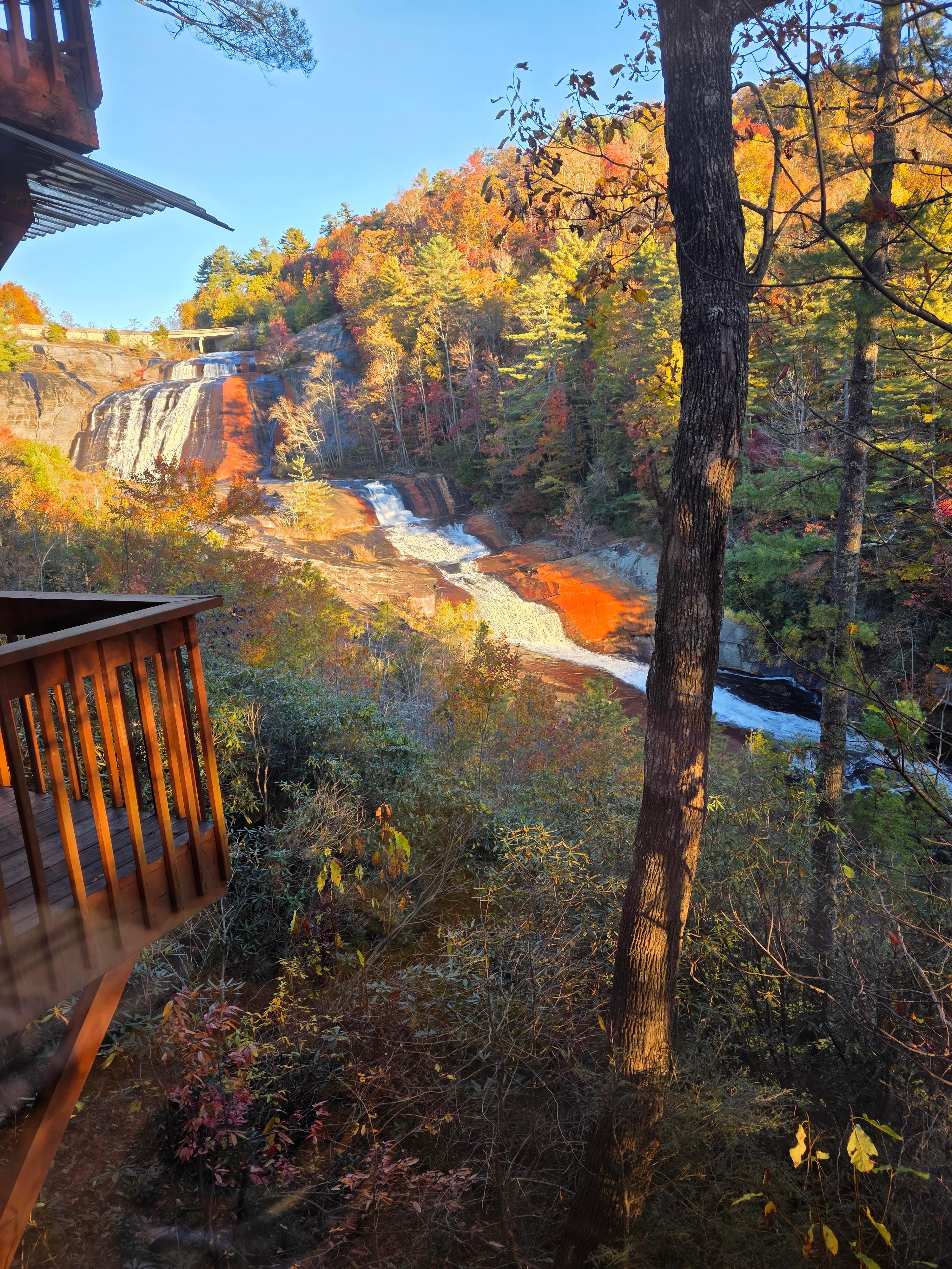 The view from the back porch!!