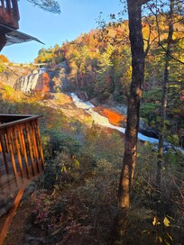 The view from the back porch!!