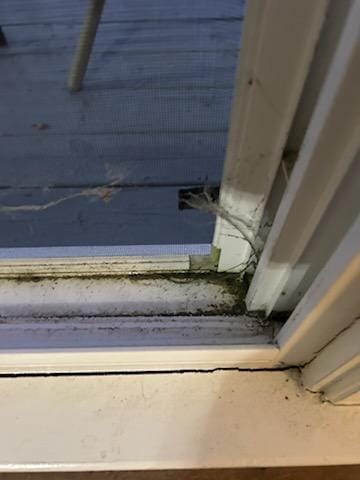 Filth and mold on all windows
