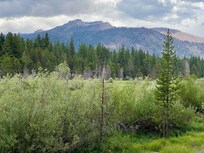 Hiking trail with meadow
