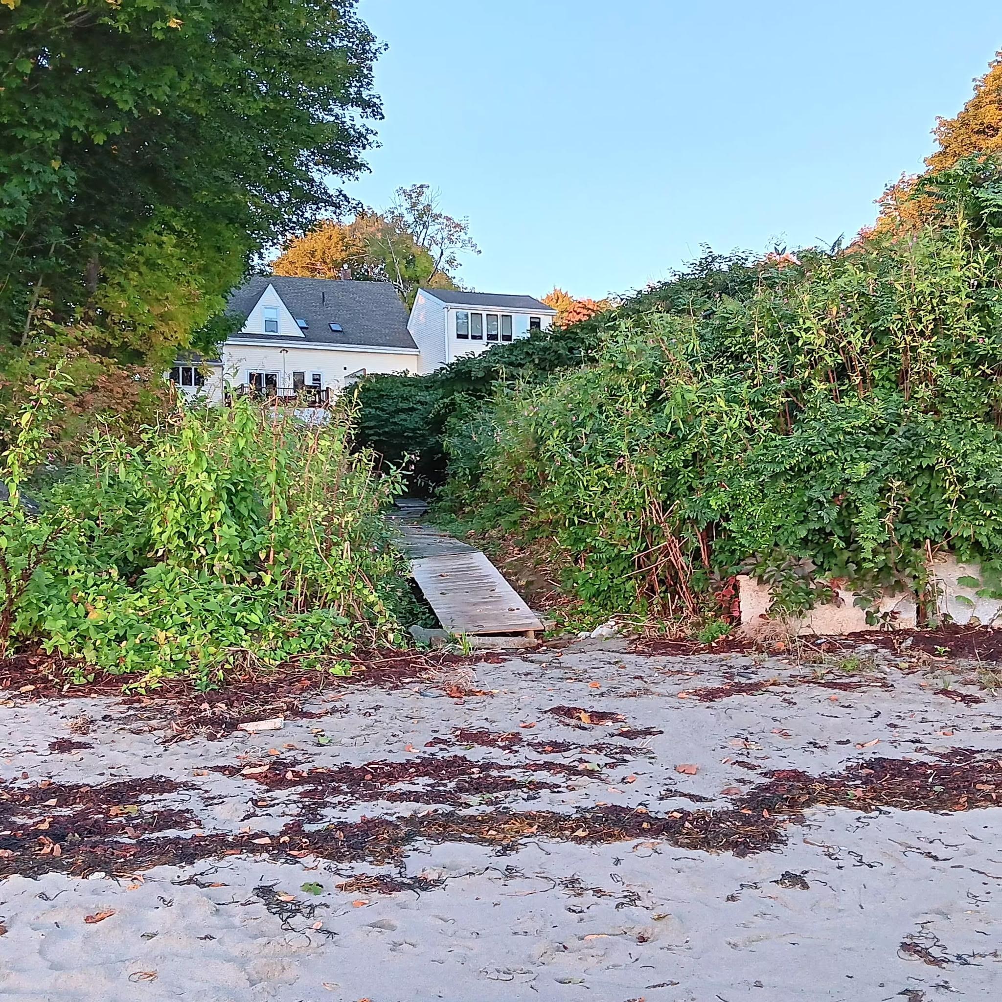 Looking up from the beach to the house.