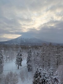 Mt Yotei view from room