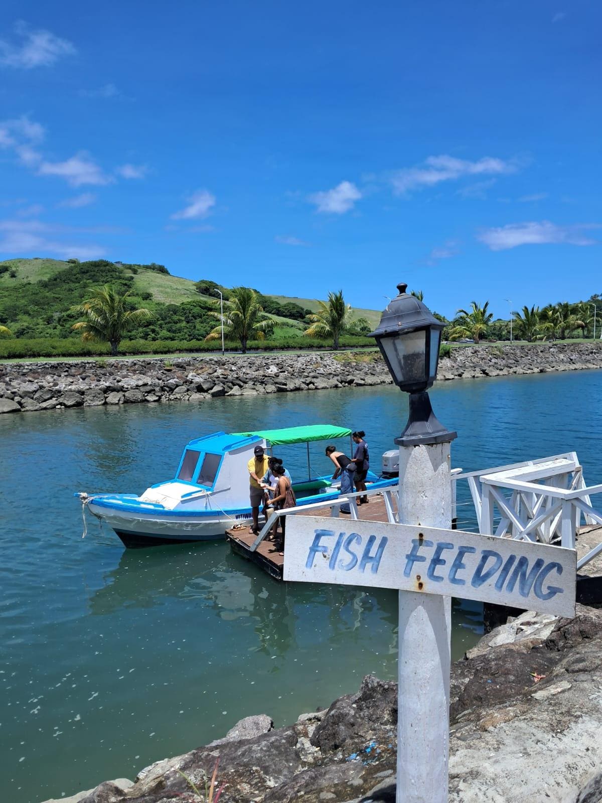 Fish feeding and boat ride