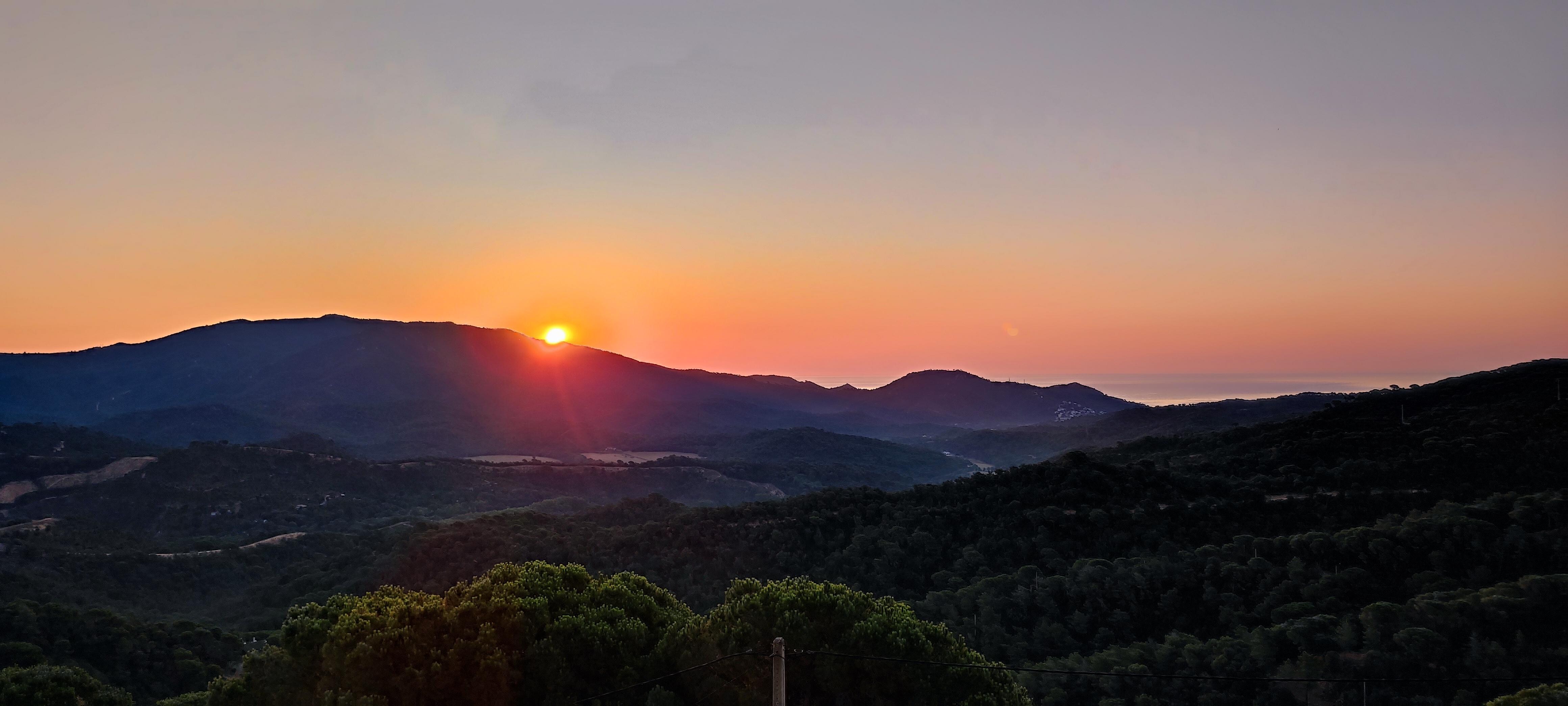 vue depuis la terrasse 