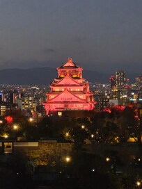 The view from our room very early in sakura season.