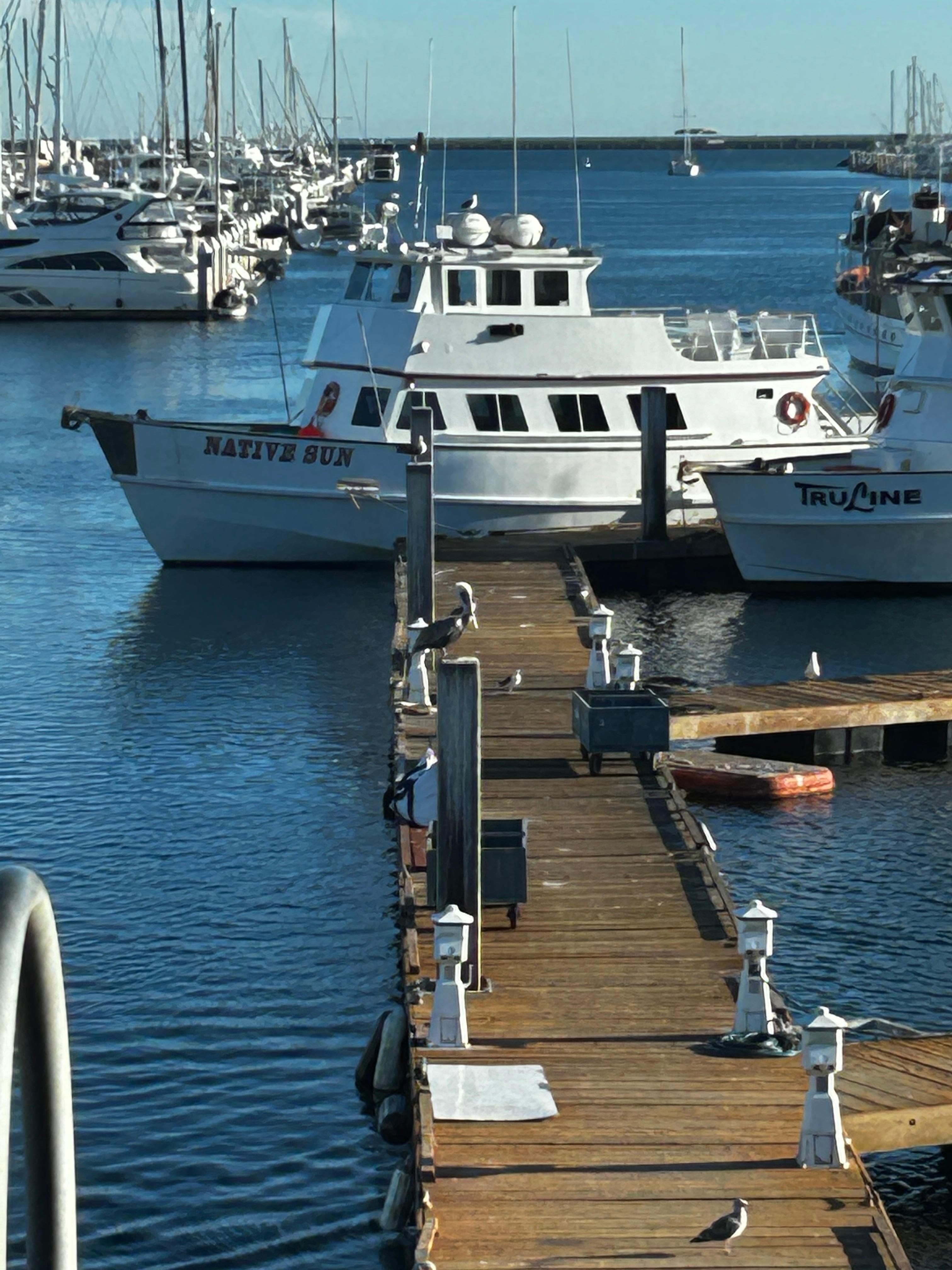 View from restaurant off site with fresh seafood