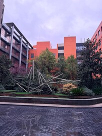 The view from the hotel at the entrance