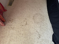Stains on master bedroom carpet