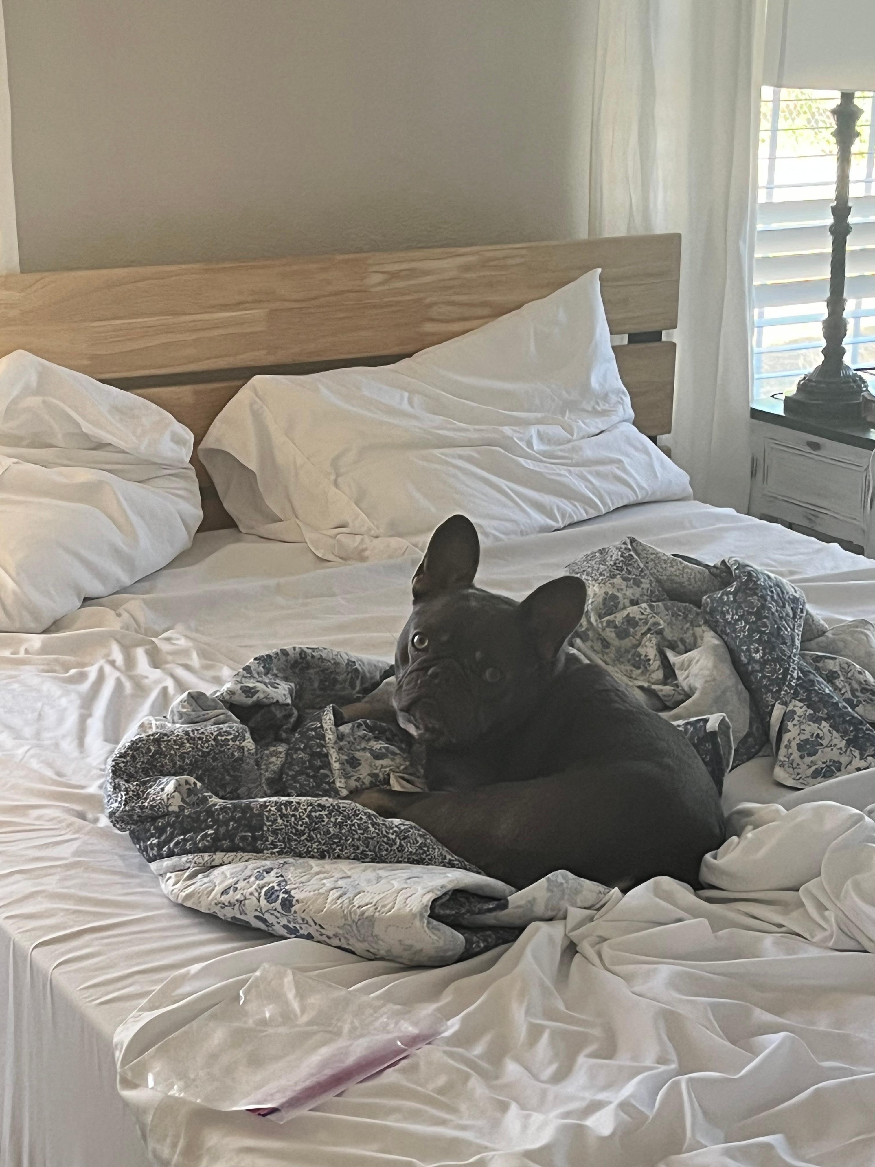 Louis living his best life