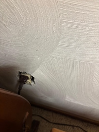 Electrical outlets uncovered