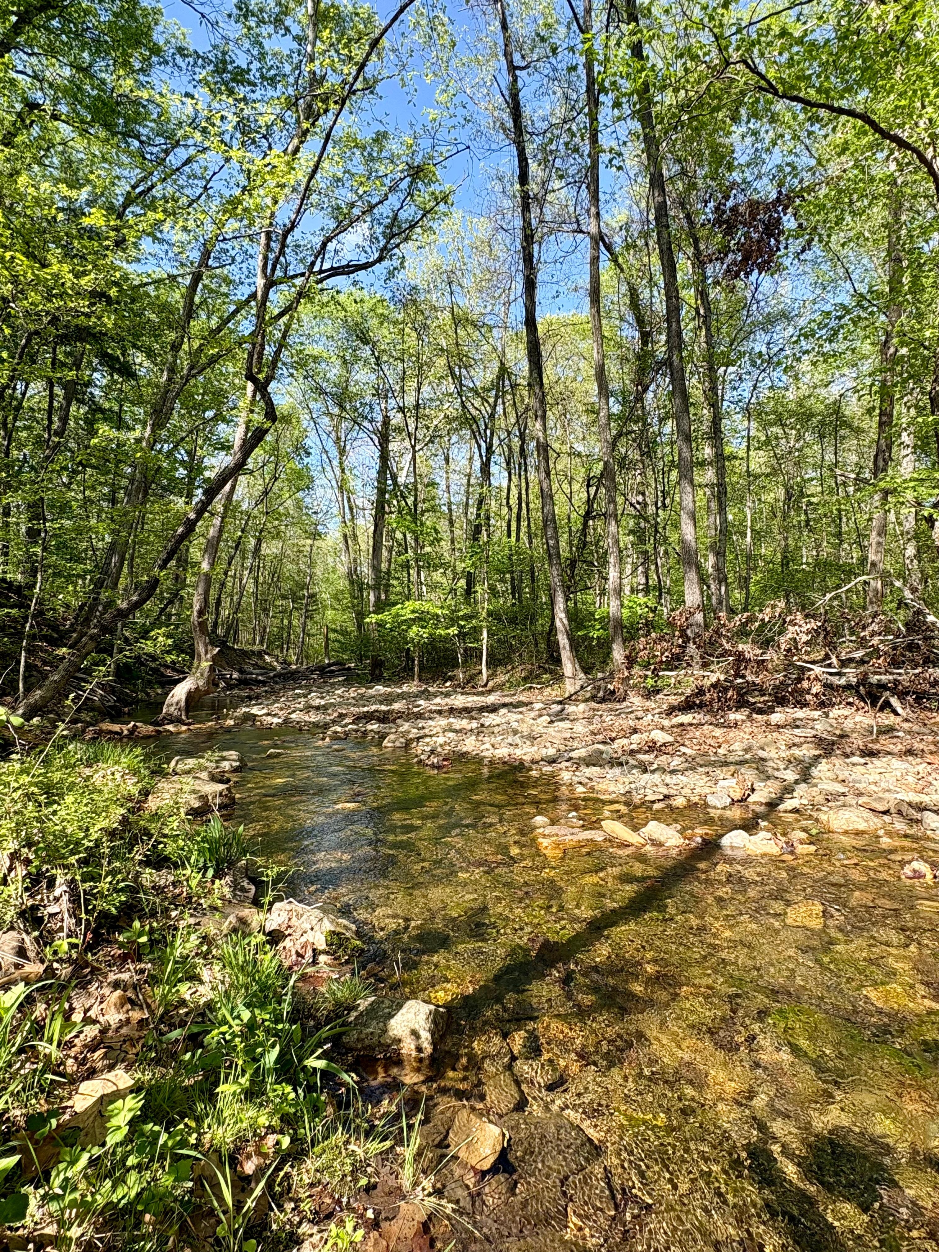 The river in the back of the house. Very peaceful. 