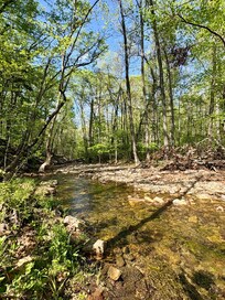 The river in the back of the house. Very peaceful.