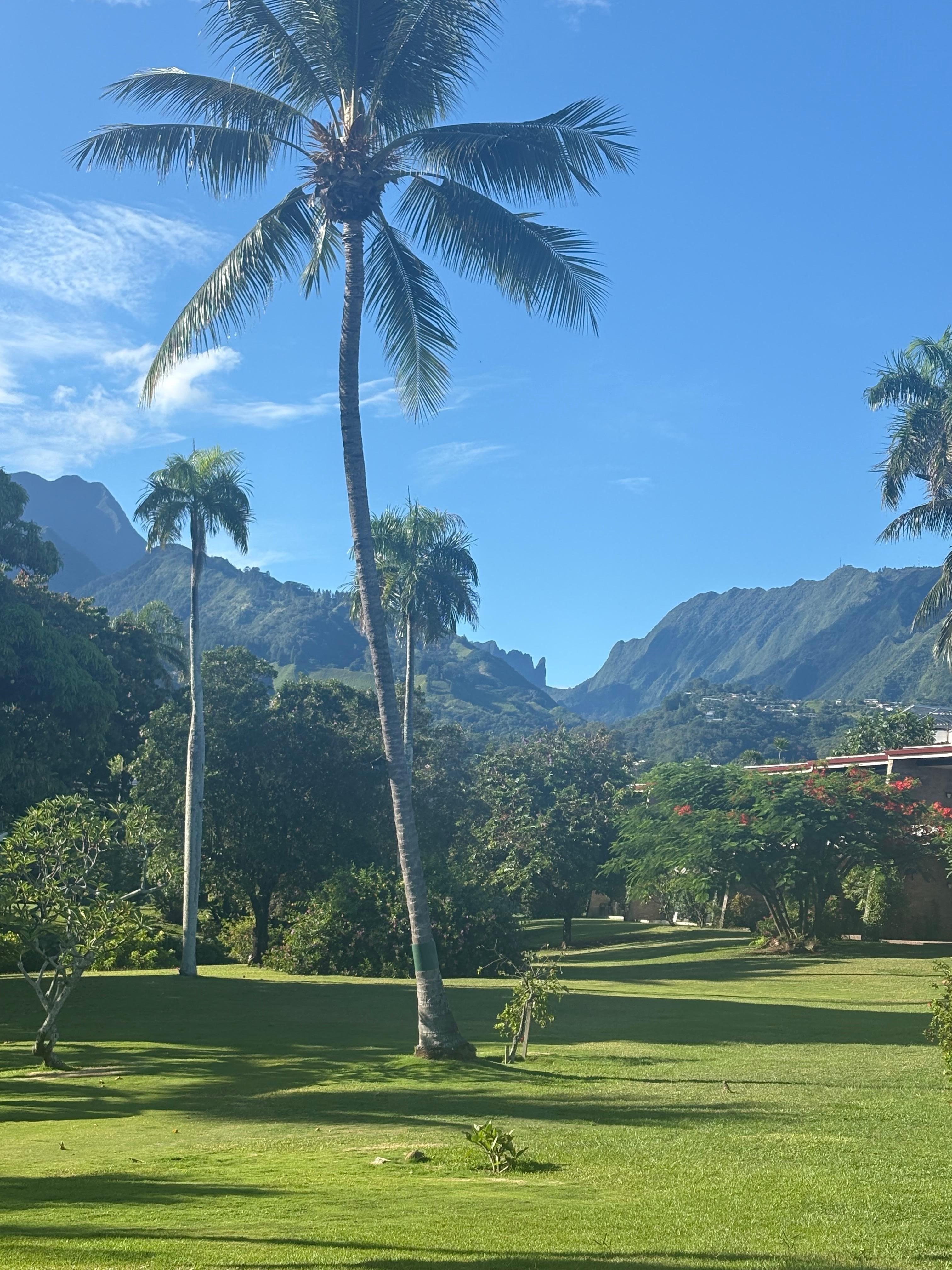 Grounds and view inland