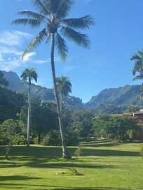 Grounds and view inland
