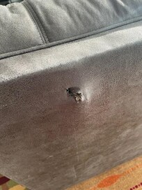 Hole in couch.