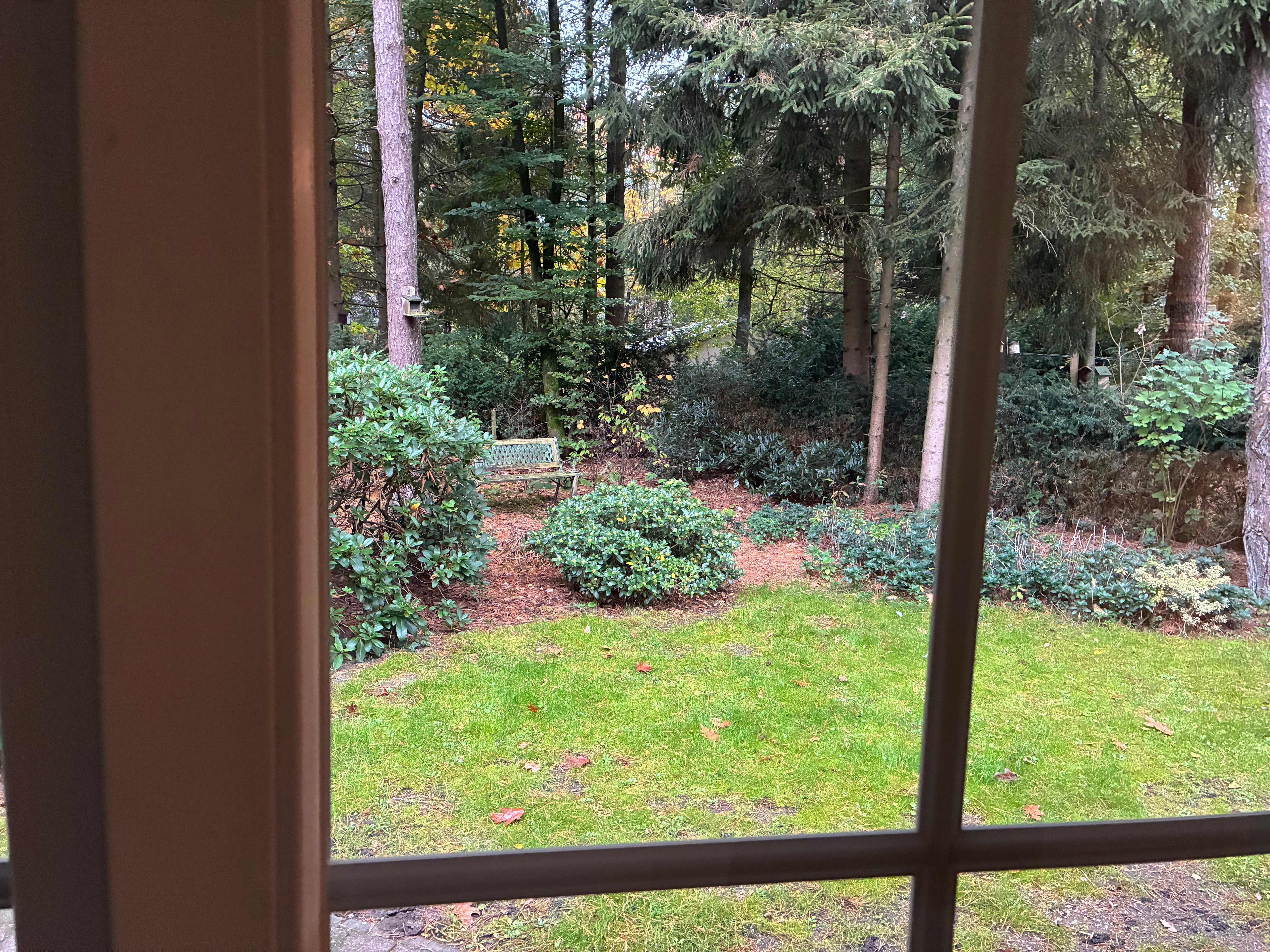 Blick in den Garten mit Garten