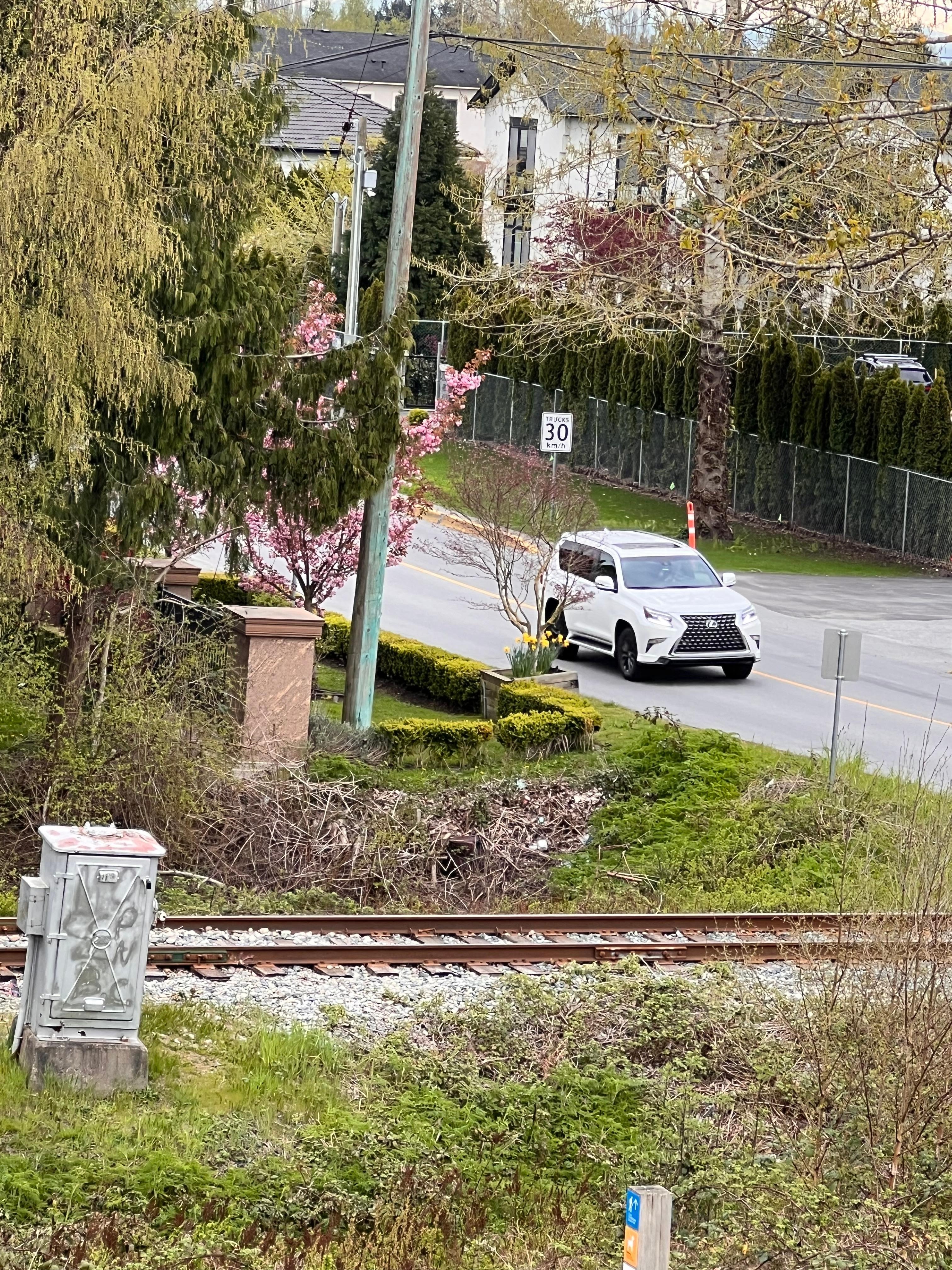 View out my window, lots of Song birds in the morning. Trail to go walk.