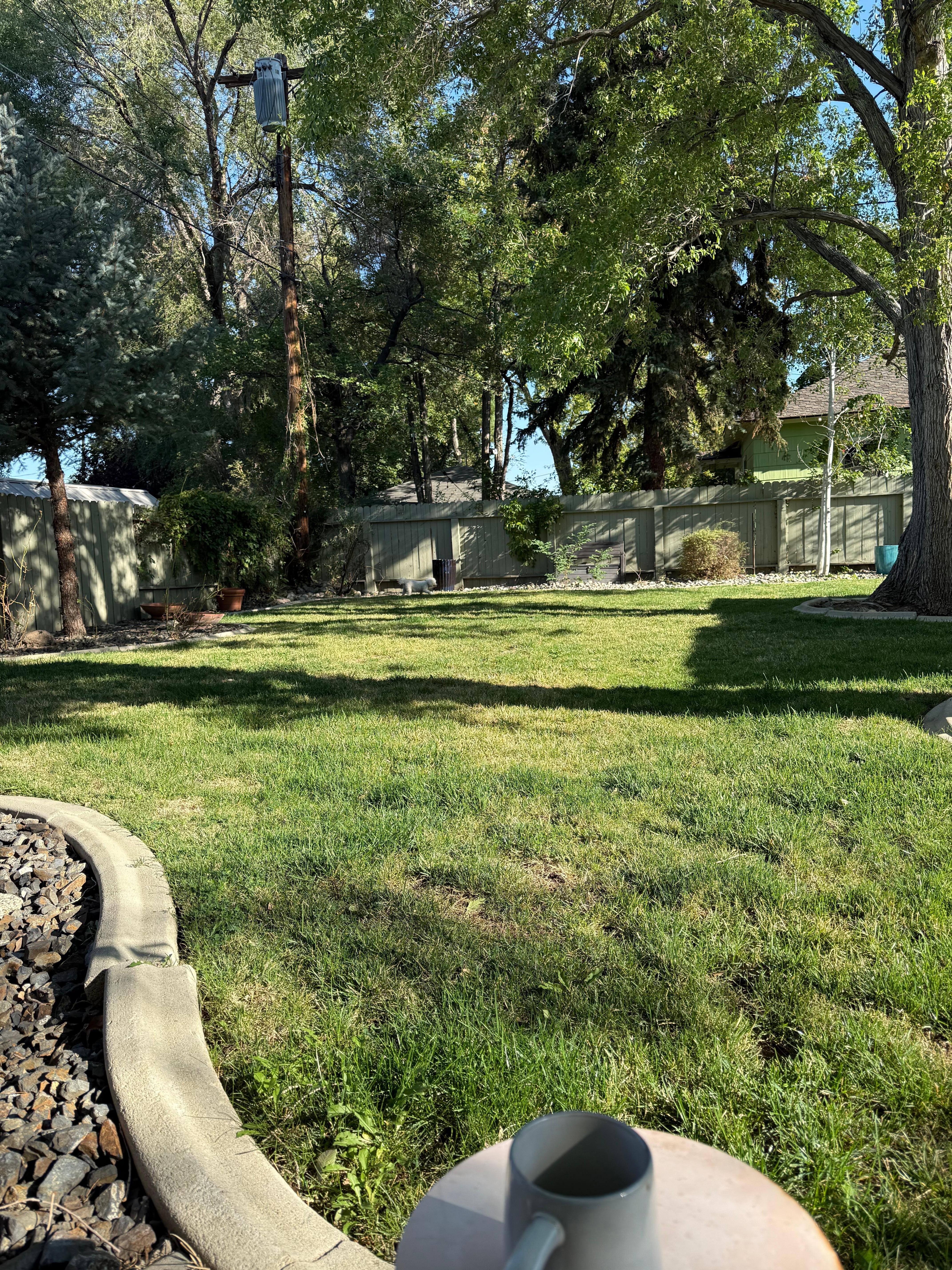 Enjoying Reno Roost backyard