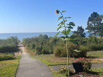 Leisure walk