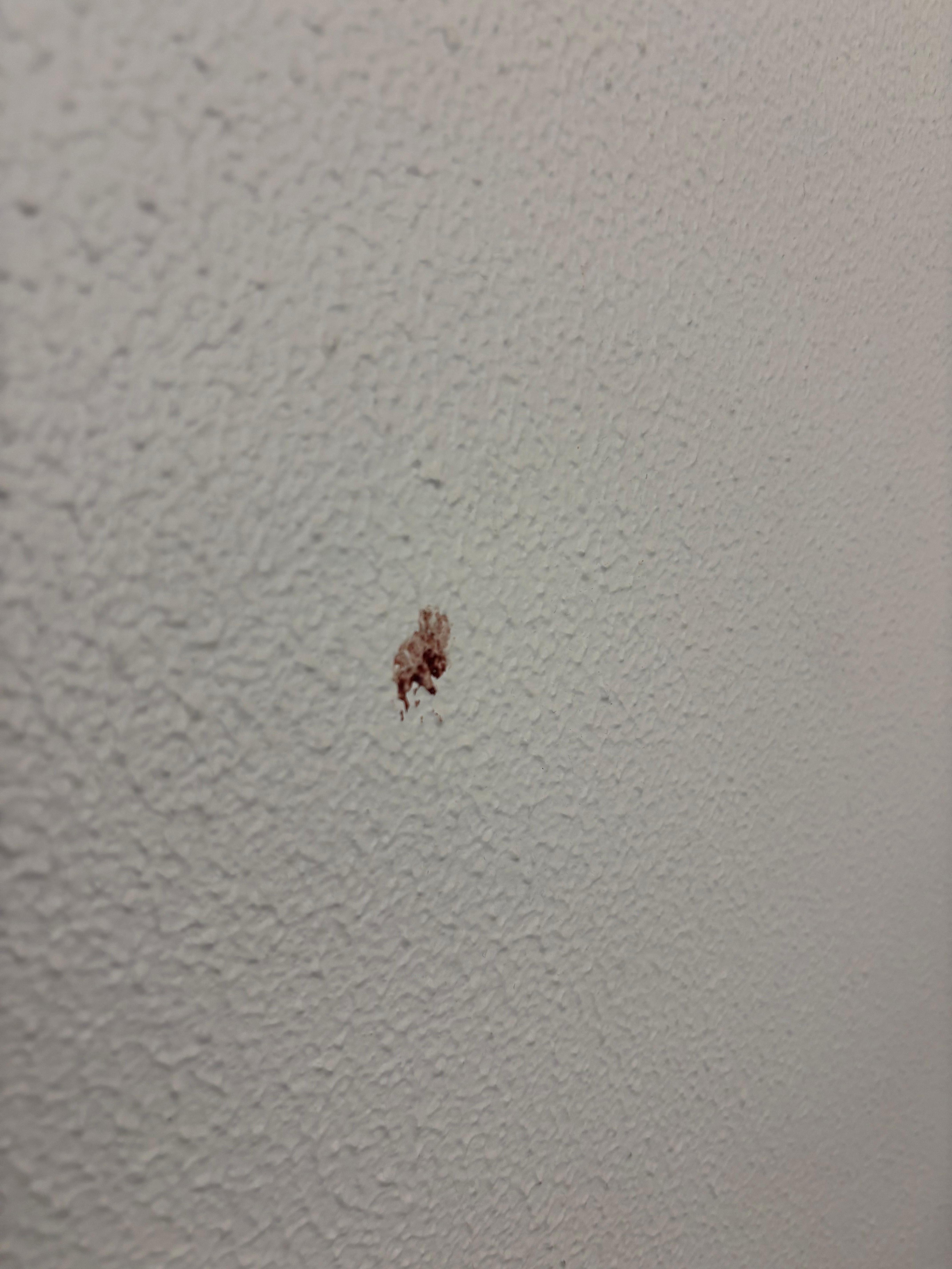 Blood stains in wall