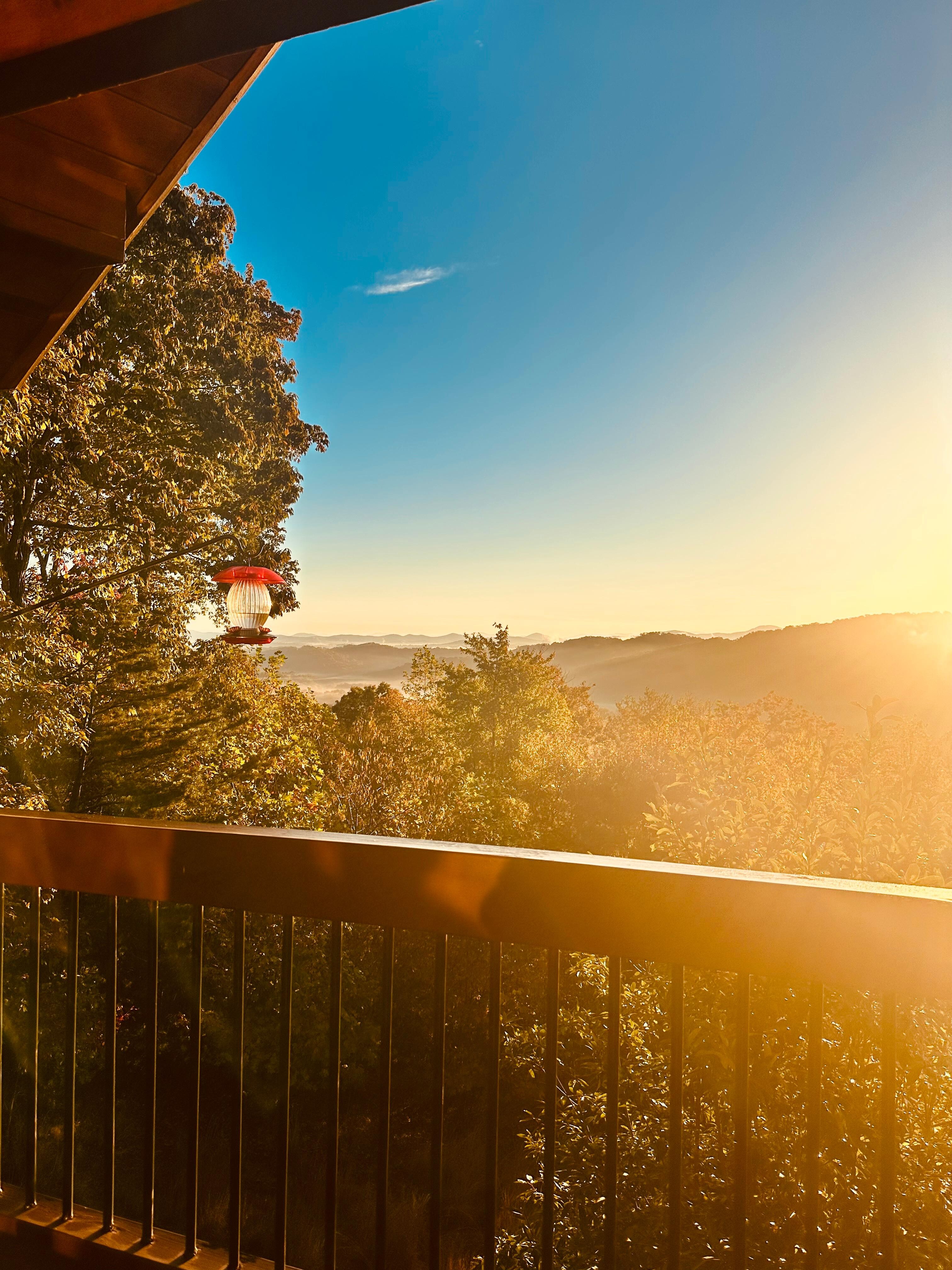 A beautiful view every morning. 