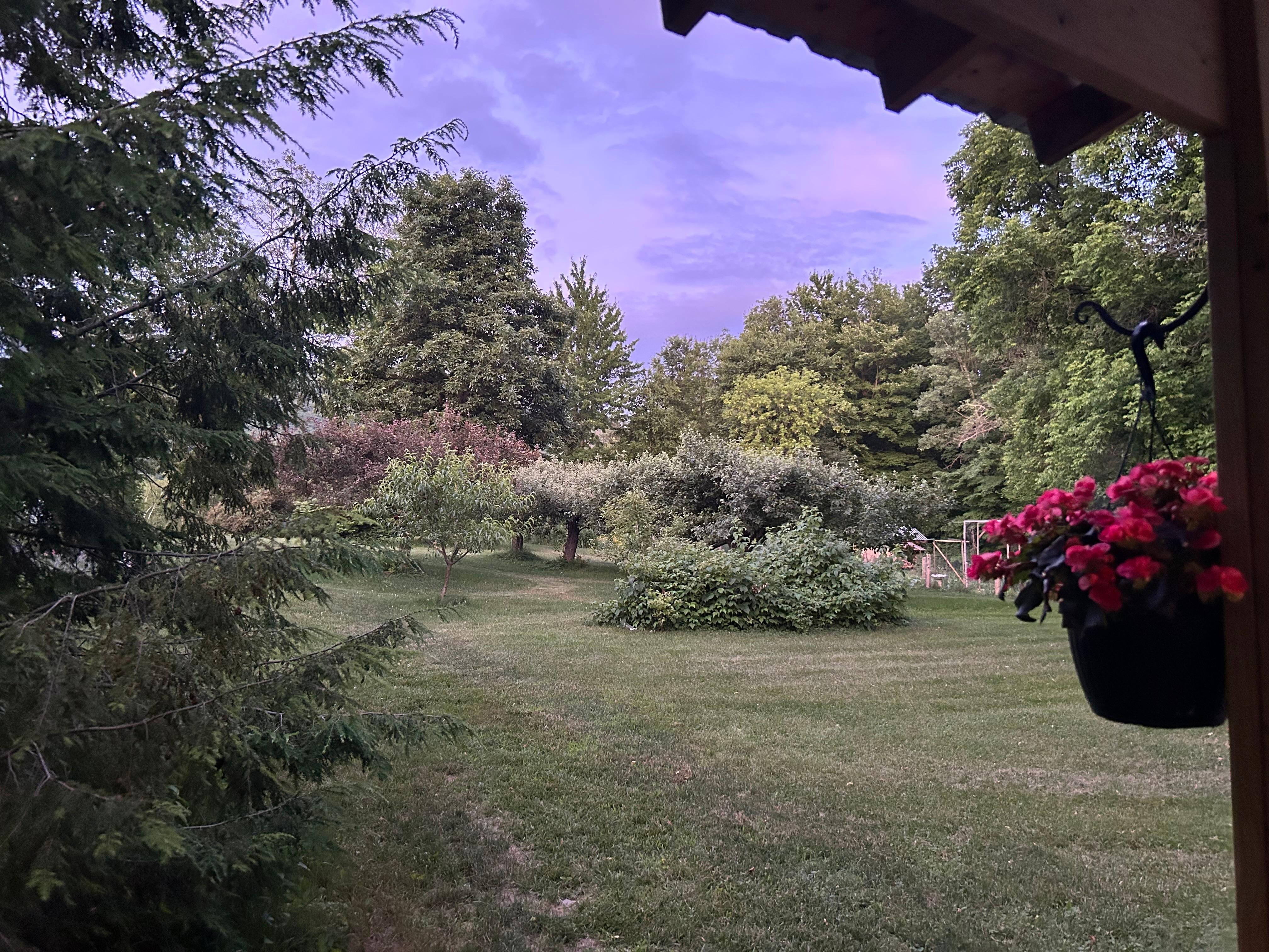 The view from the poor. A beautiful Summer evening.