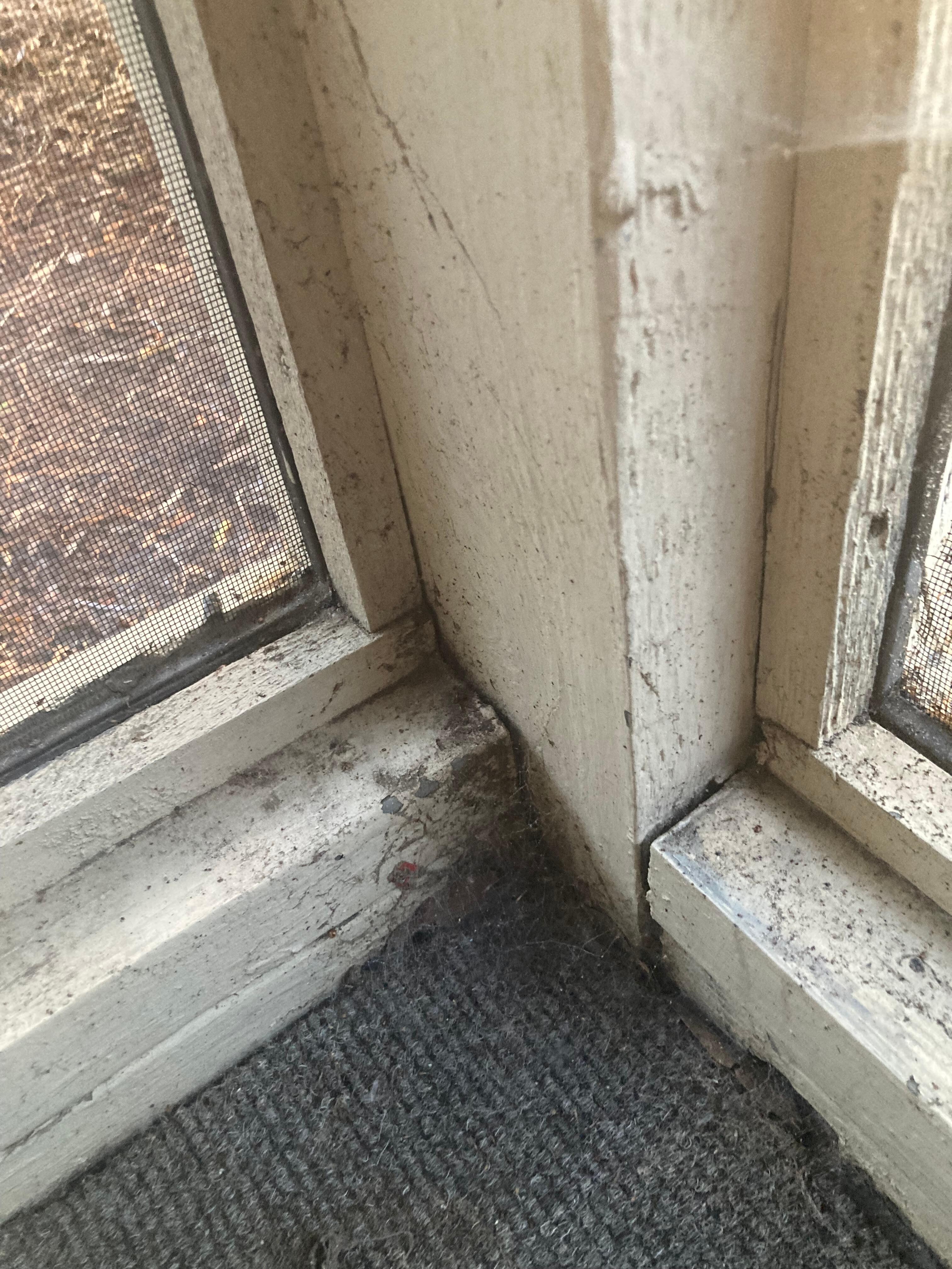 Windows on porch