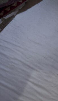 Hairs all over all beds