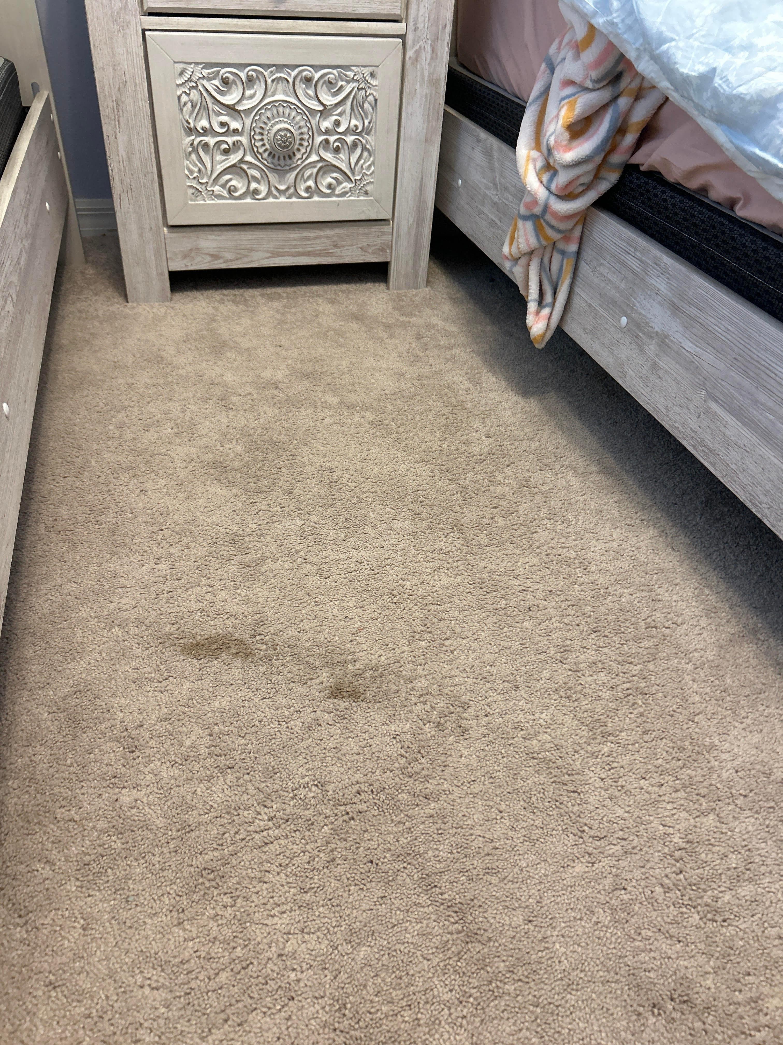 Minor staining in bedroom 