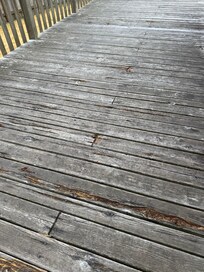 Be careful on deck and do not let your dogs or walk barefoot.