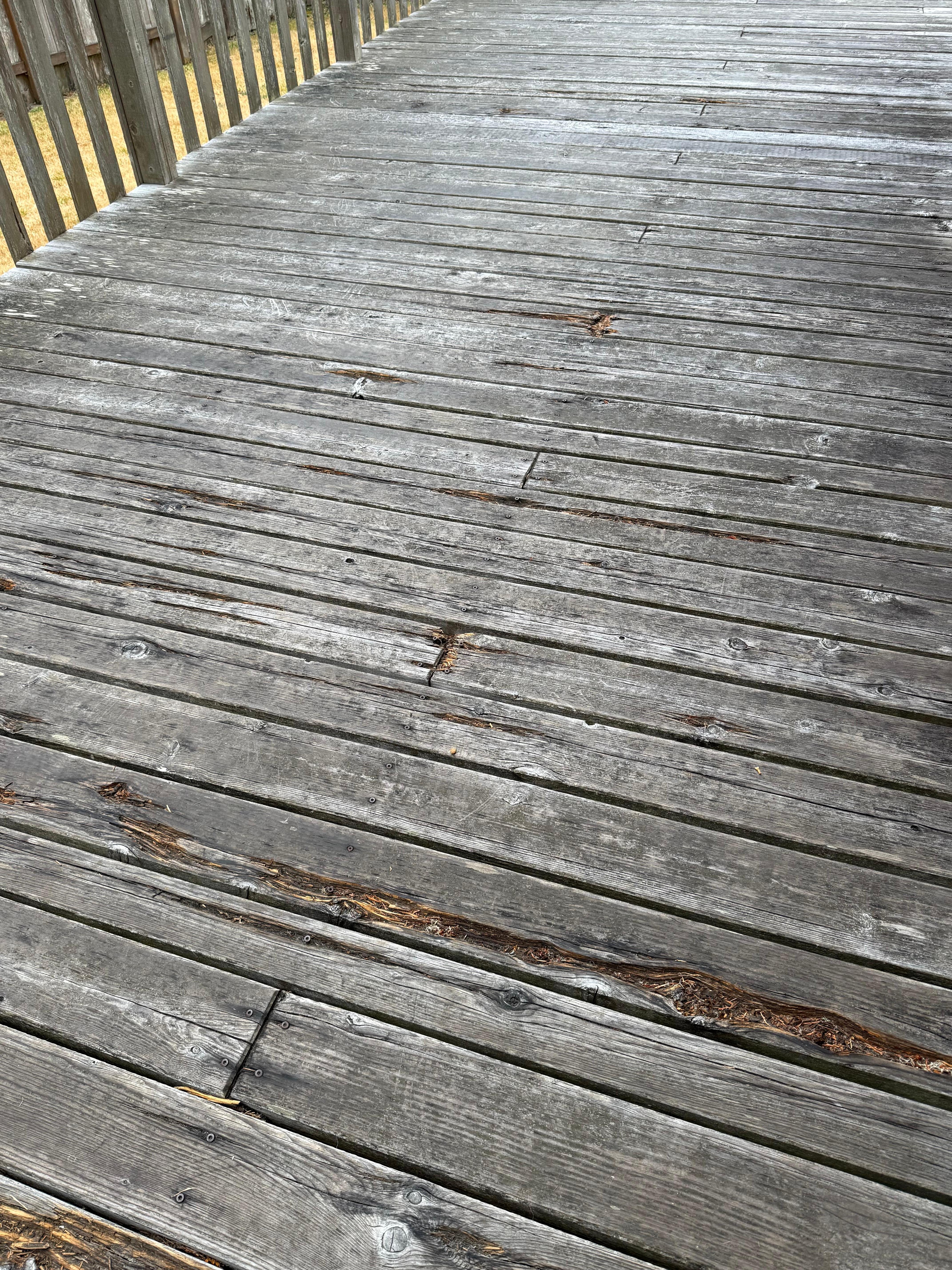 Be careful on deck and do not let your dogs or walk barefoot. 