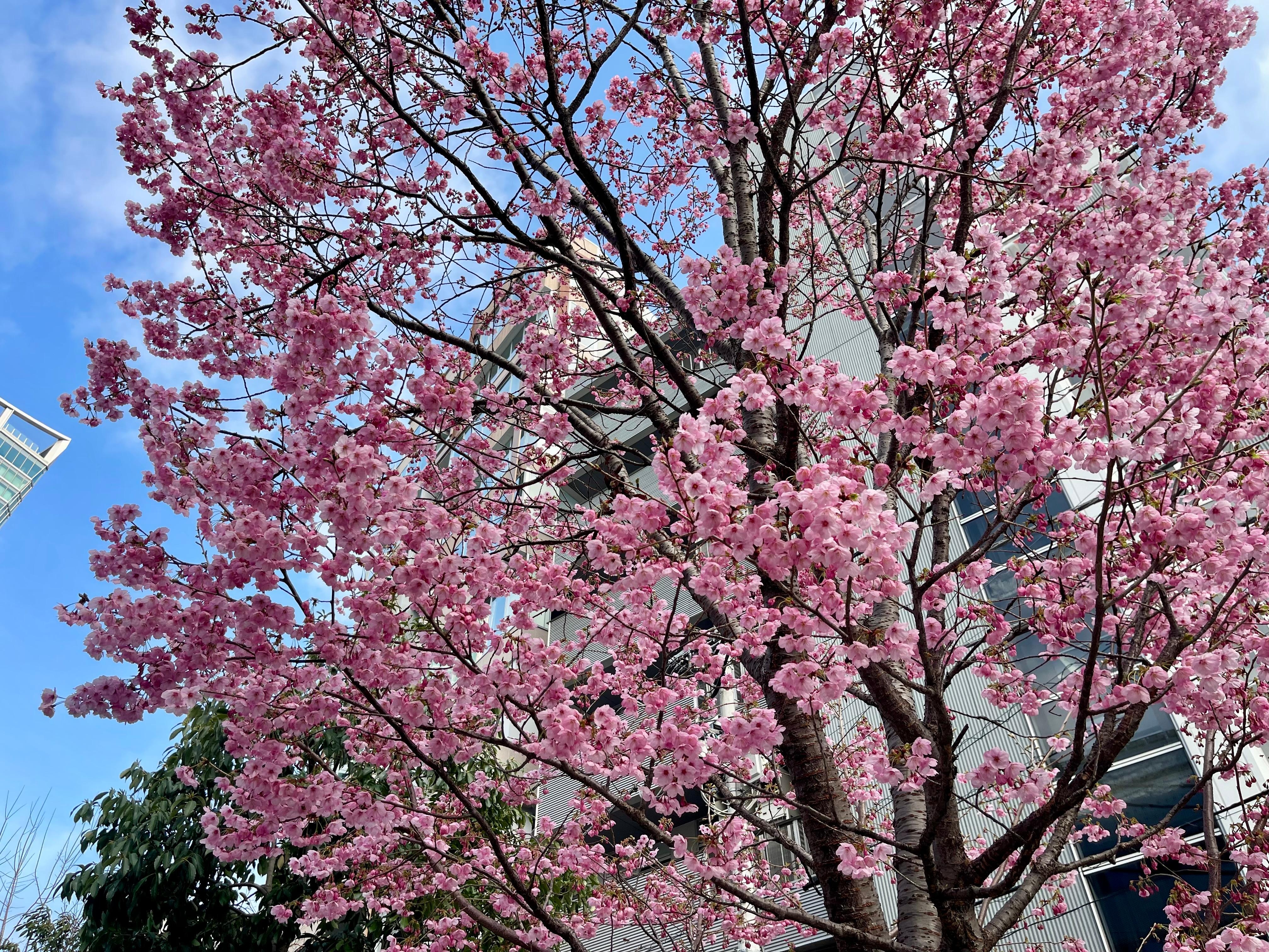 Directly across the hotel