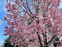 Directly across the hotel