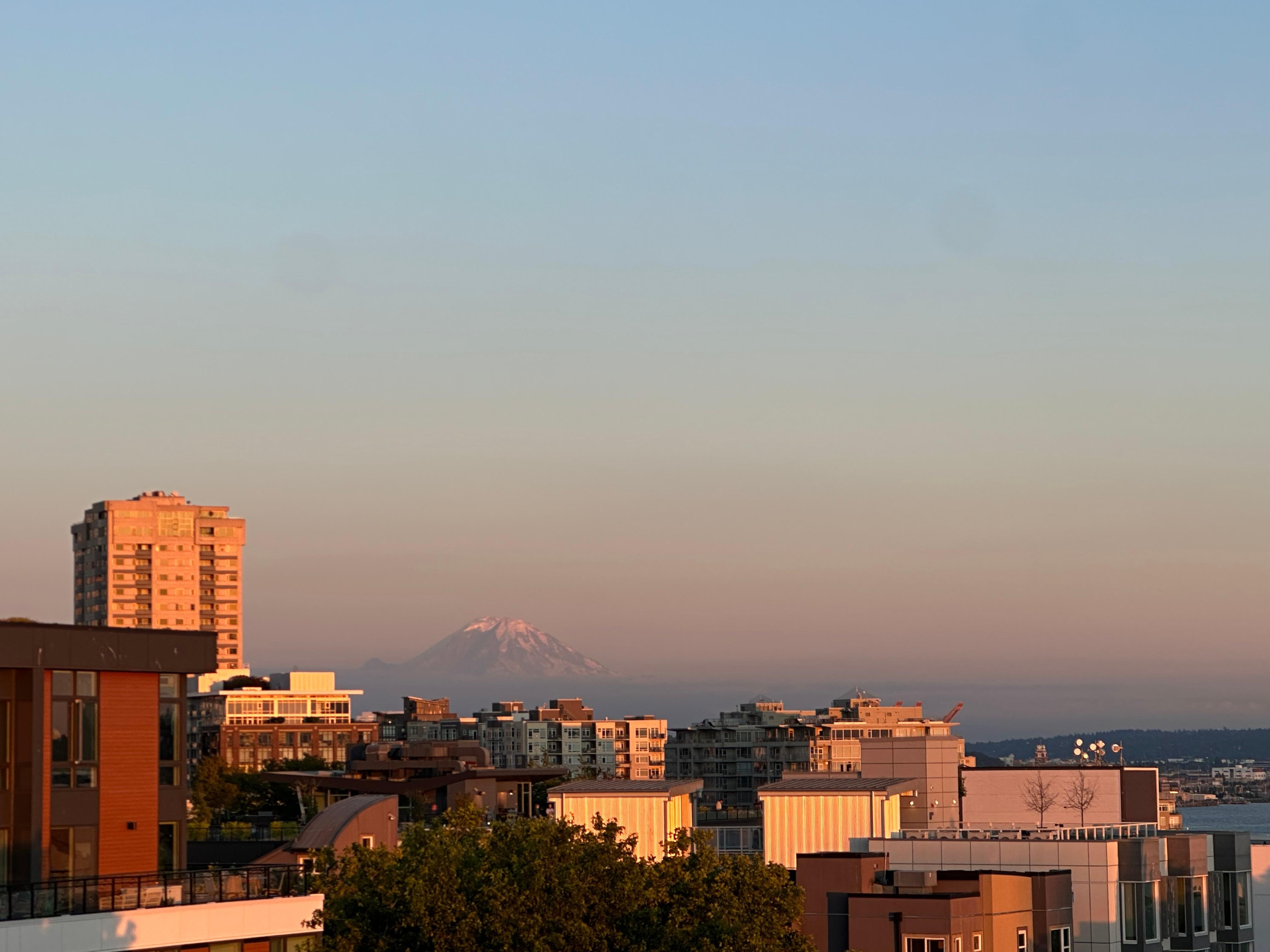 view from rooftop at sunset 