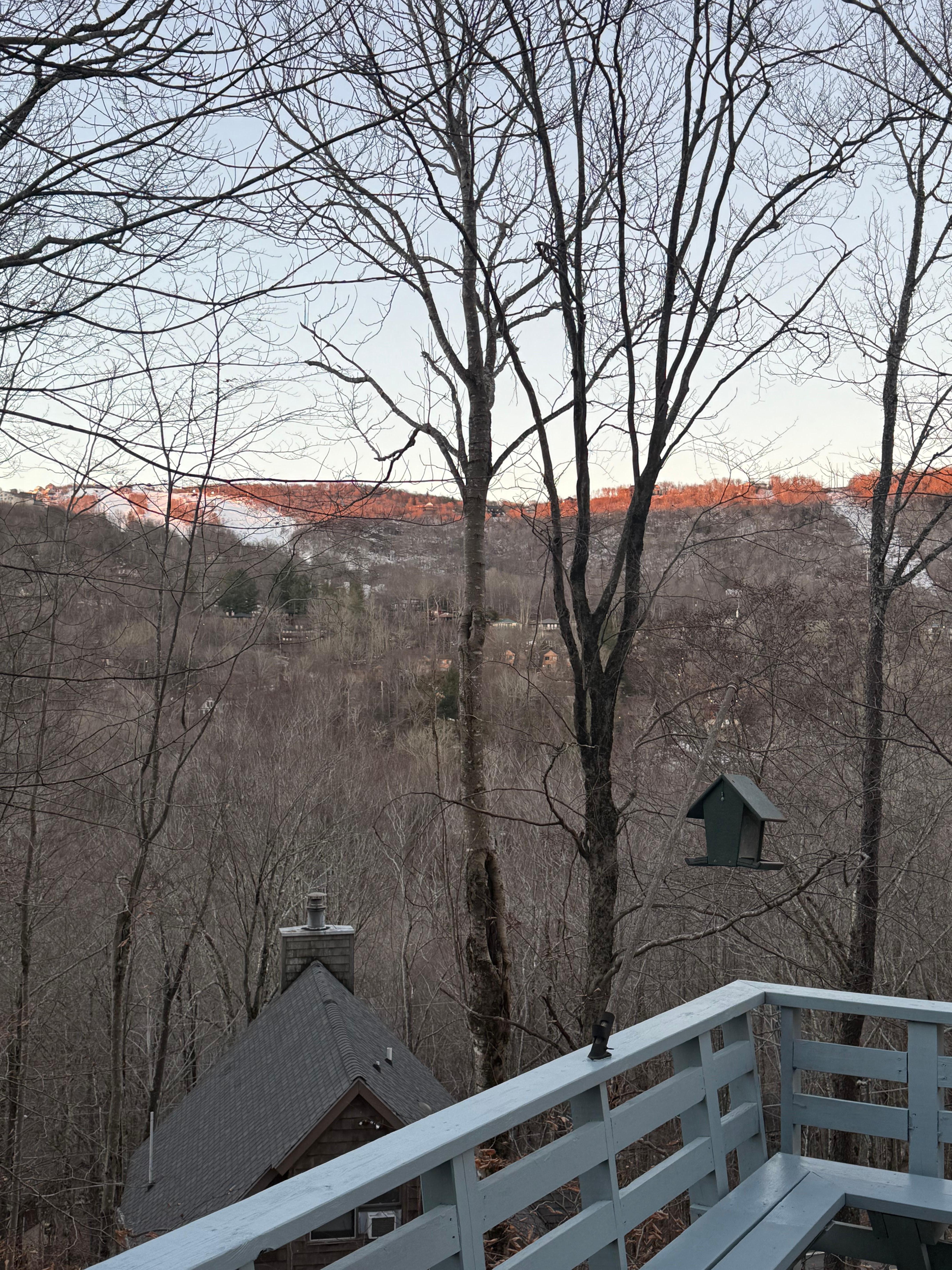 View of Beech Mt