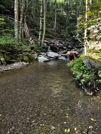 Part of the creek