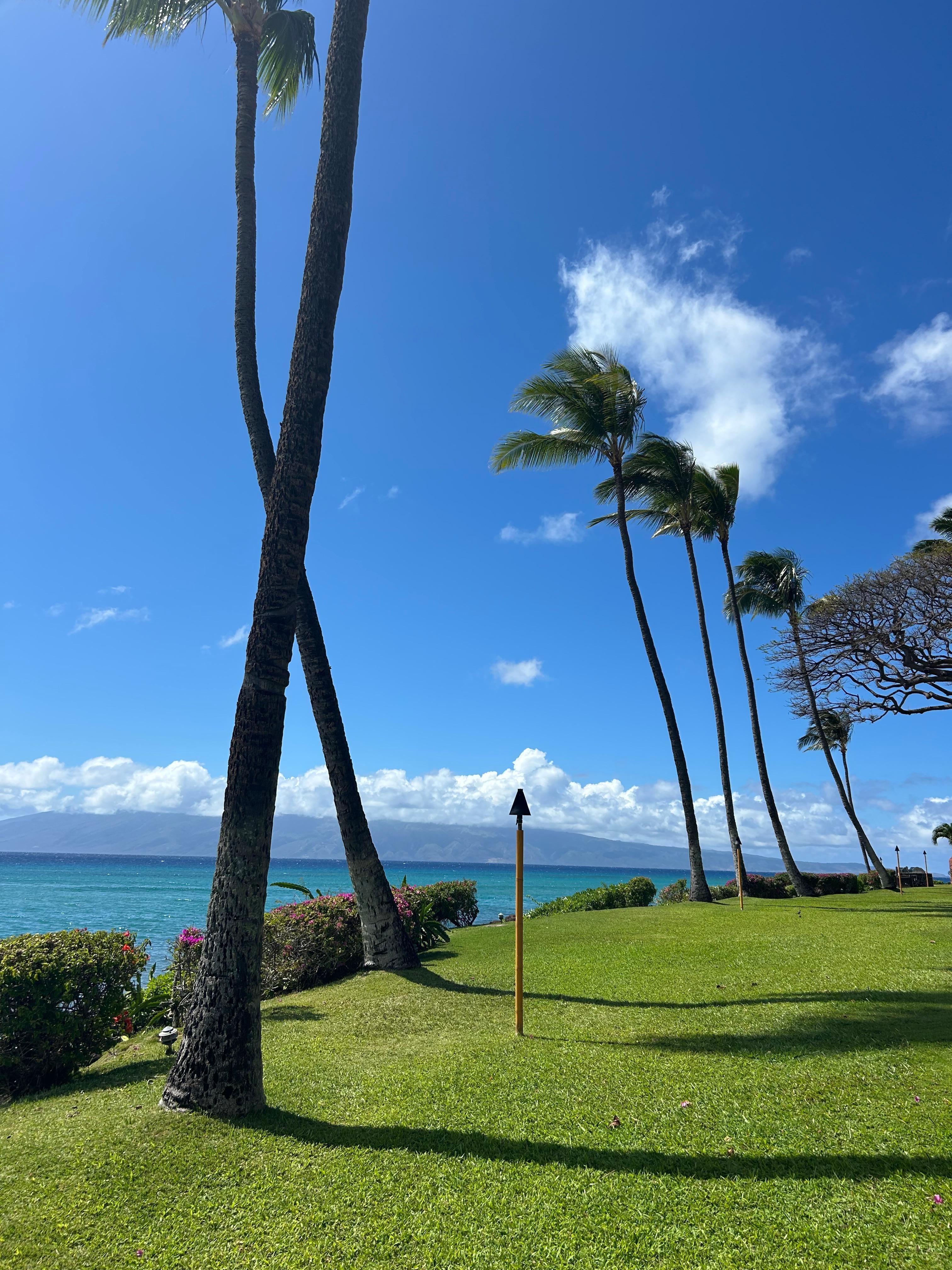 Stunning ocean view