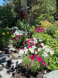 Beautiful landscaping at the condo