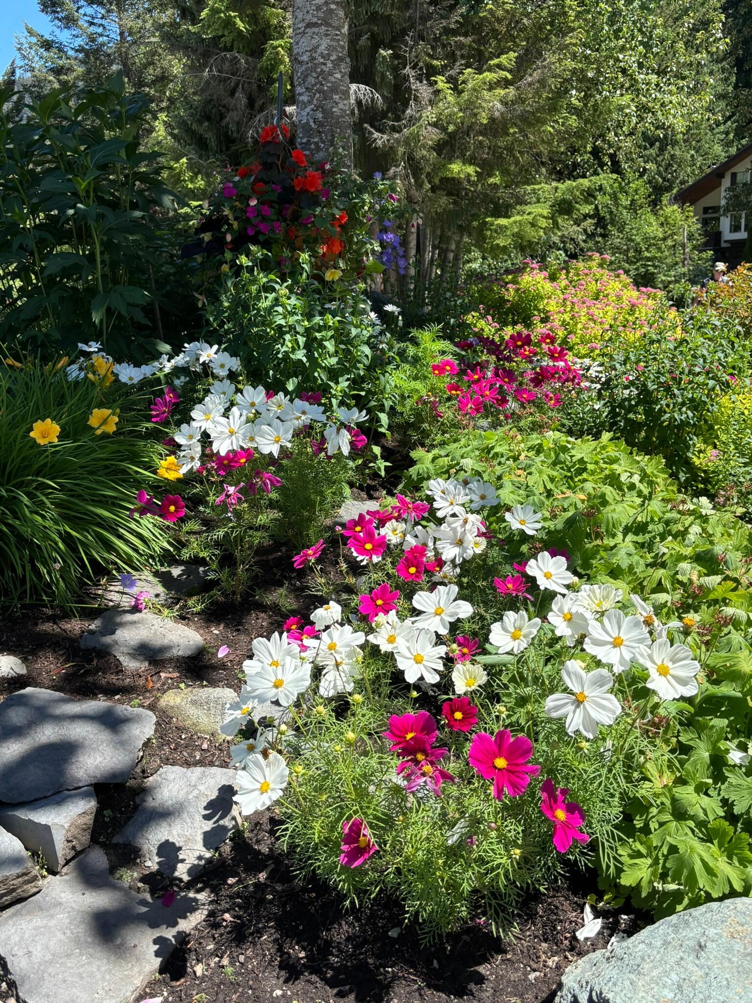 Beautiful landscaping at the condo