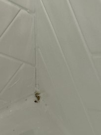 More mildew in bathroom