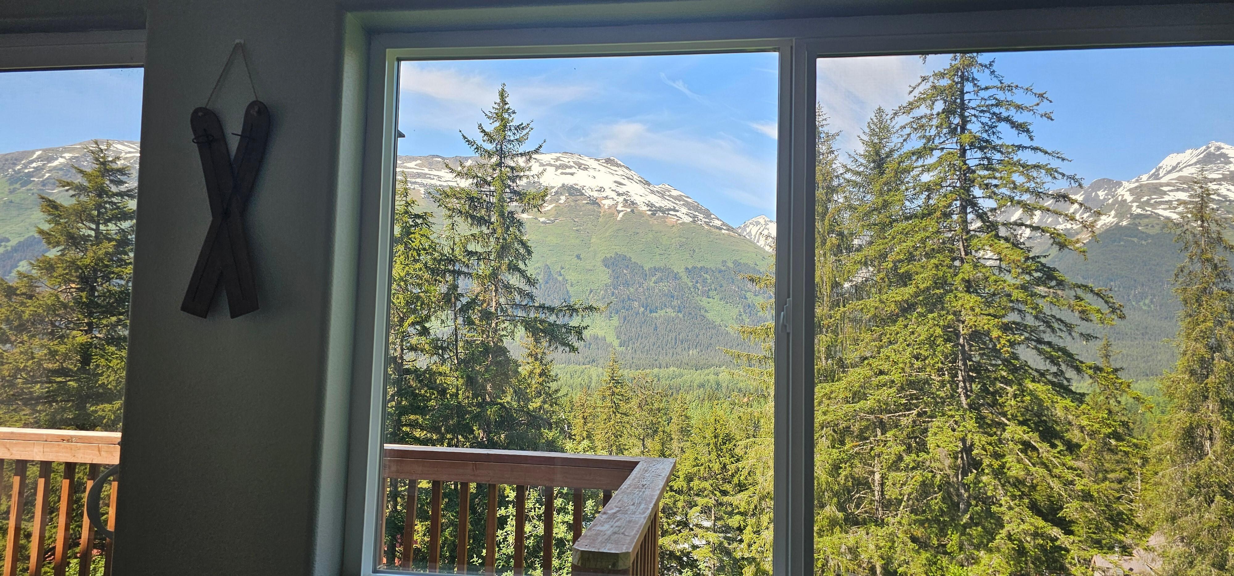 View from the porch 
