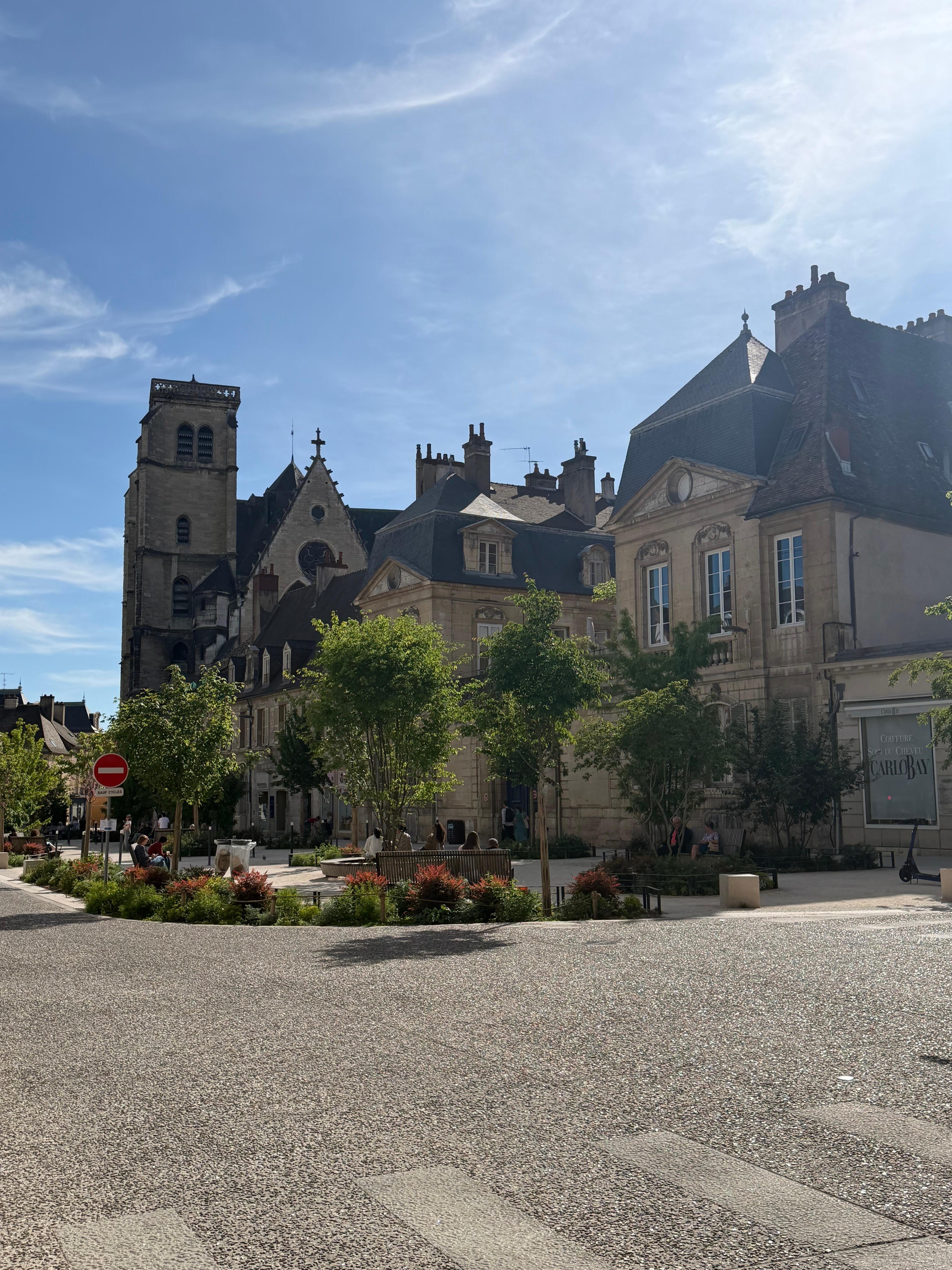 This photo is of one of the cathedrals in Dijon.