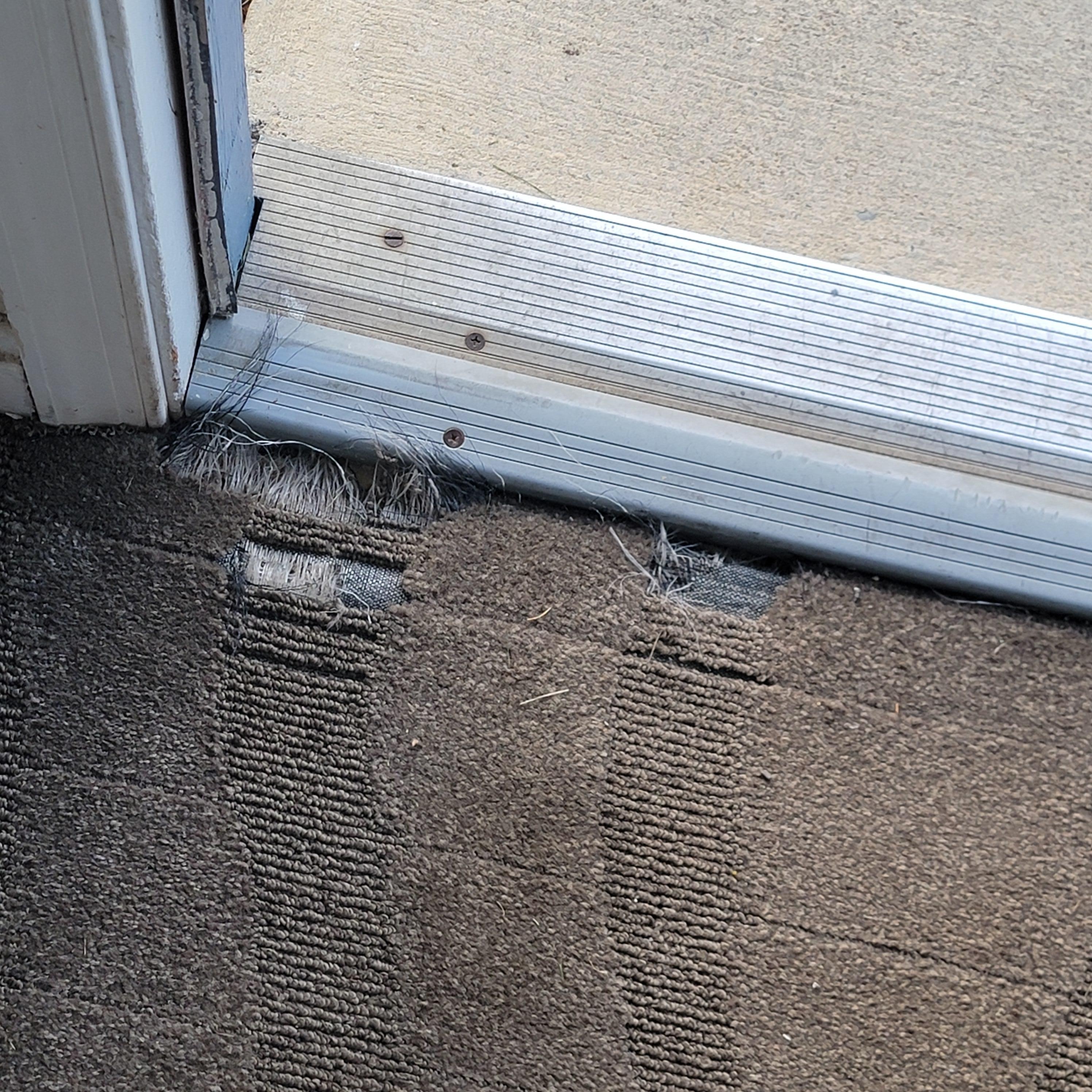 Carpet near the door