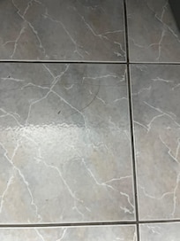 Long black hairs everywhere, in the bath tub, on the toilet, on the bathroom counter, on the bathroom floor.