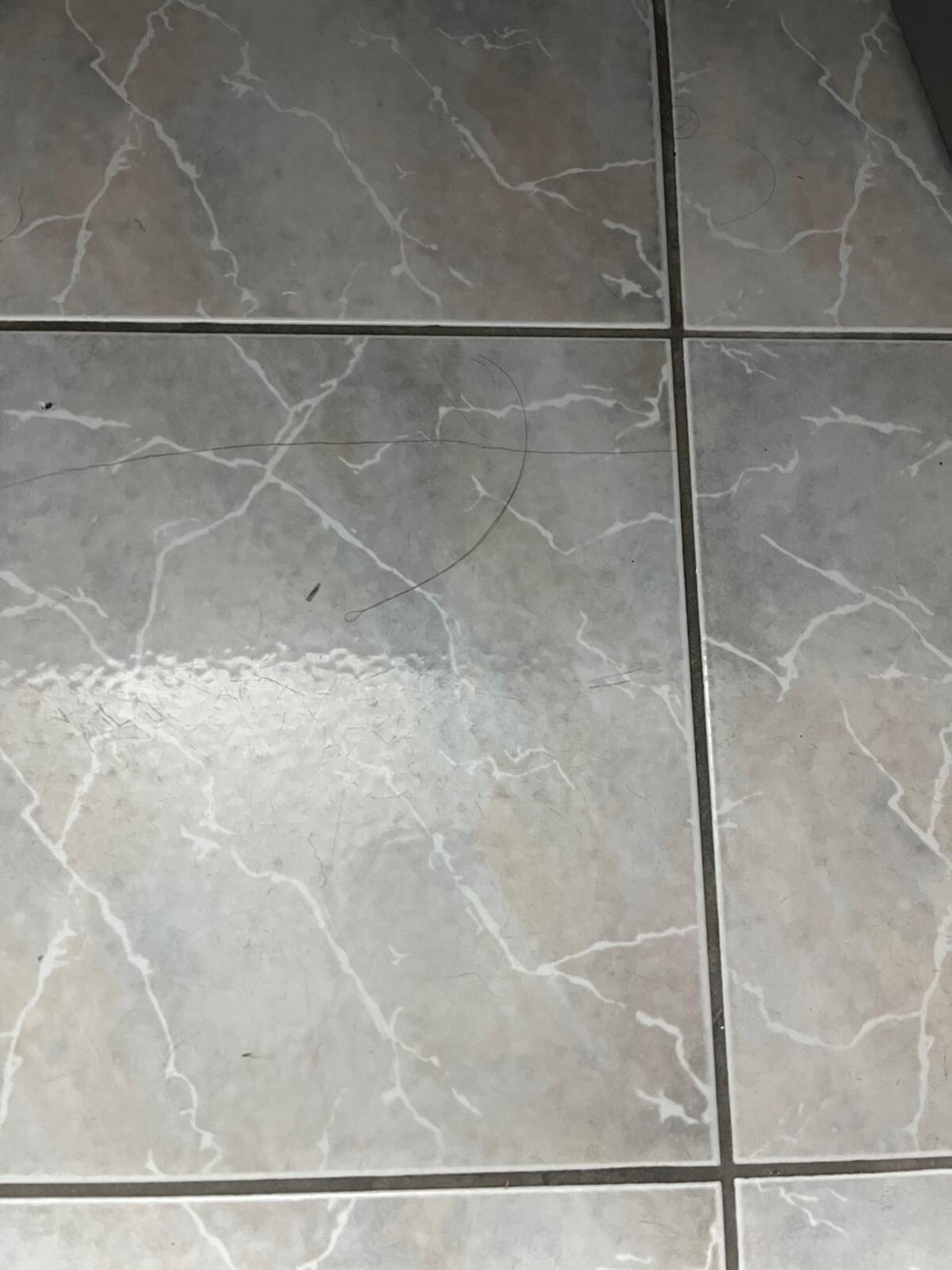 Long black hairs everywhere, in the bath tub, on the toilet, on the bathroom counter, on the bathroom floor.
