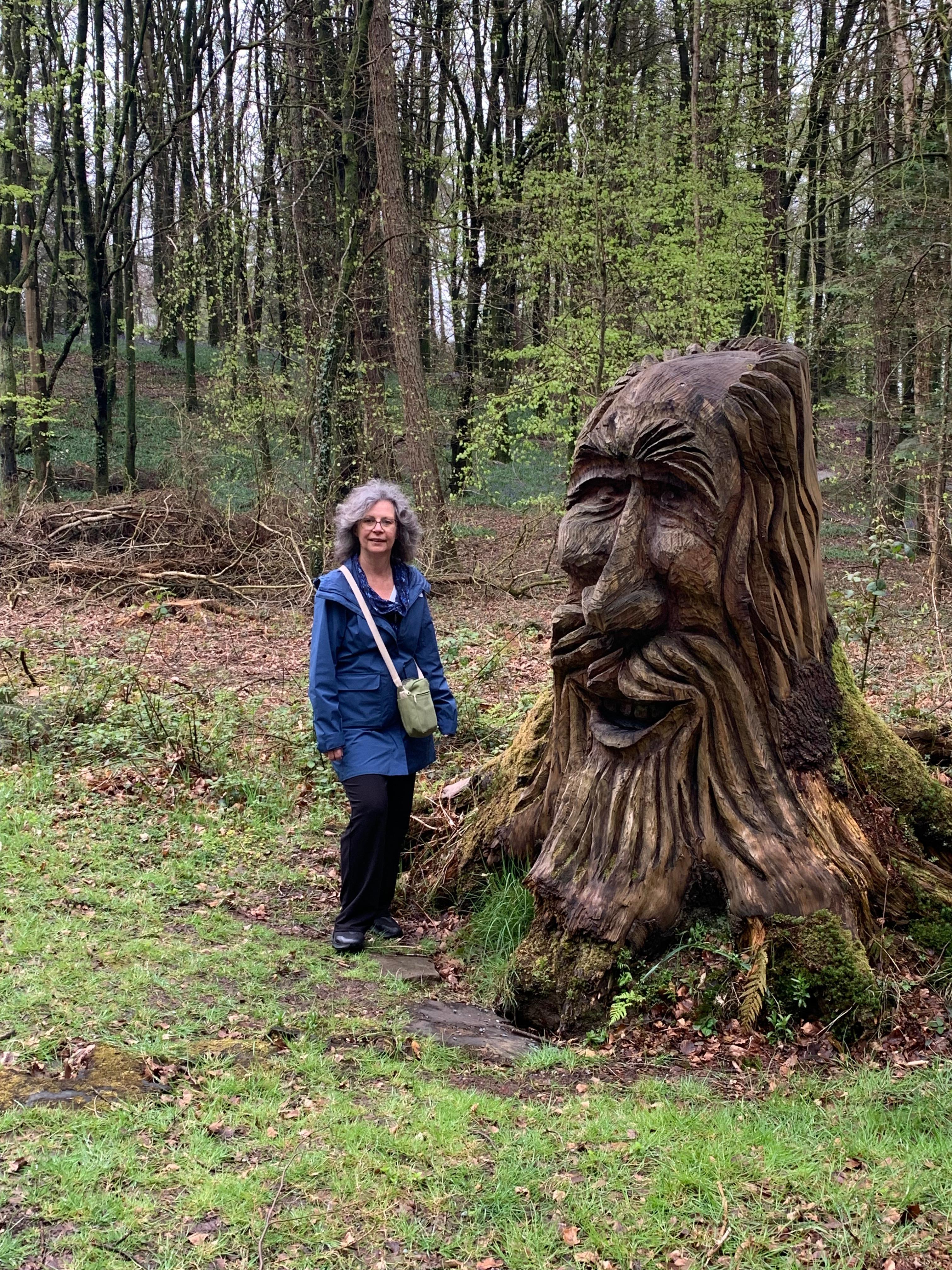 On the road to Kinnitty Castle 