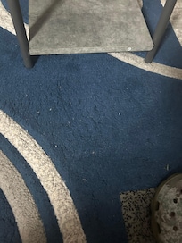 Living room rug when we got there.