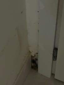 Molding corners